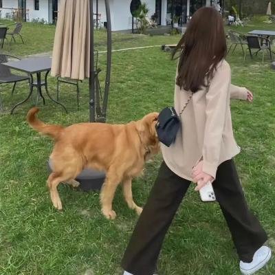 约翰·福特执导